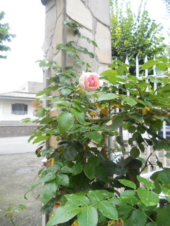 Beb Villa Aurora Carmagnola Ngoại thất bức ảnh